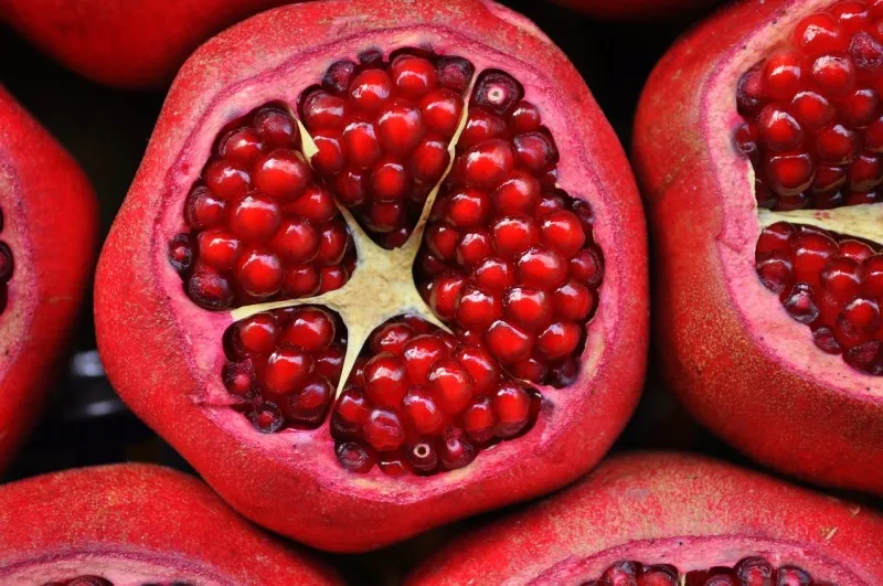 Catering FODMAP - dietetyczne rozwiązanie dla zdrowia jelit